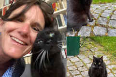 Tiger-Nanny - Mobile Katzenbetreuung Ulm/Neu-Ulm