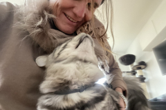 Tiger-Nanny - Mobile Katzenbetreuung Ulm/Neu-Ulm