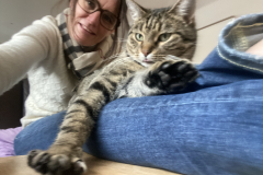 Tiger-Nanny - Mobile Katzenbetreuung Ulm/Neu-Ulm