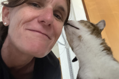 Tiger-Nanny Katzenbetreuung Ulm